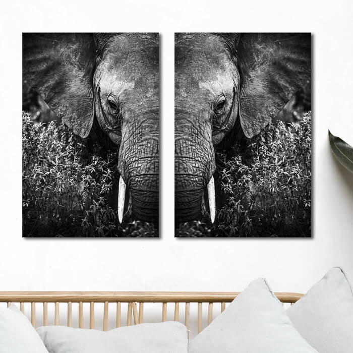 poster set olifant kop